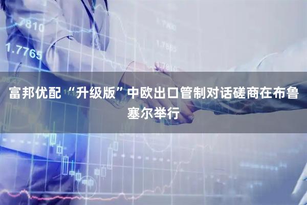 富邦优配 “升级版”中欧出口管制对话磋商在布鲁塞尔举行