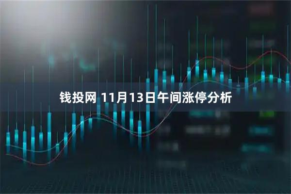 钱投网 11月13日午间涨停分析