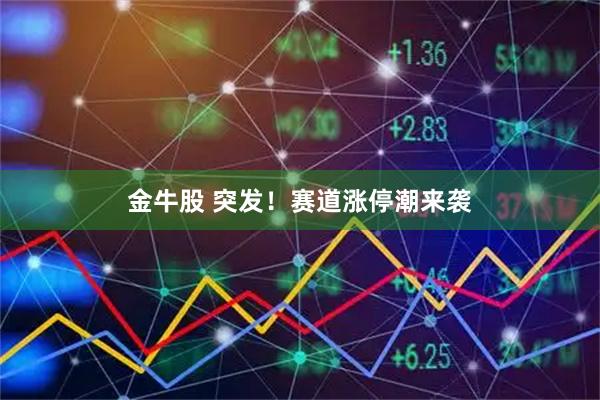金牛股 突发！赛道涨停潮来袭