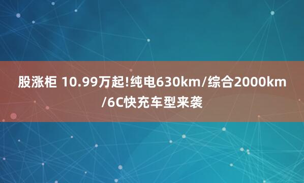 股涨柜 10.99万起!纯电630km/综合2000km/6C快充车型来袭