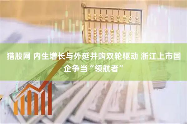 猎股网 内生增长与外延并购双轮驱动 浙江上市国企争当“领航者”